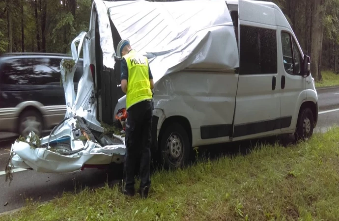 {W czwartek po południu drzewo złamane przez wiatr przewróciło się na busa. Na szczęście nikt nie ucierpiał.}