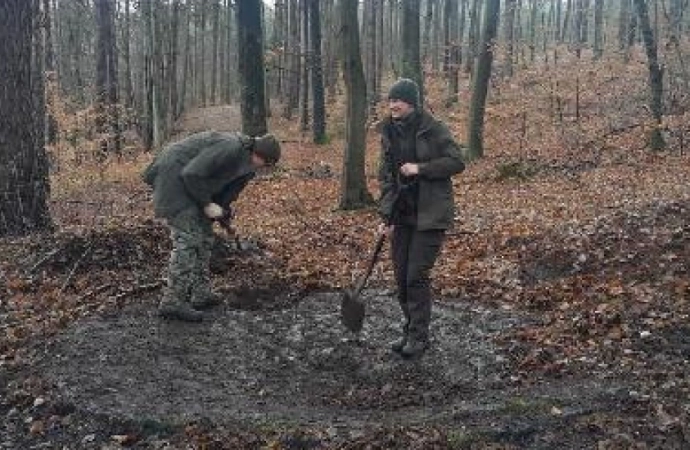 Leśnicy odsłonili tajemnicze kręgi